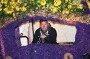 Thumbs/tn_Verlicht bloemencorso 2025 033.jpg